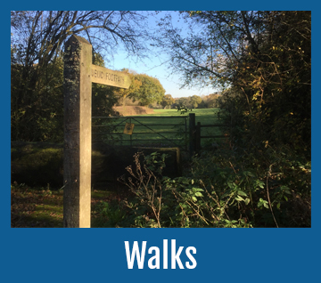 walks