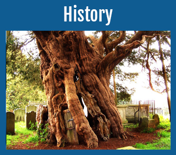 history